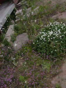 ejeee[eleveaeec_eneca[eoa[